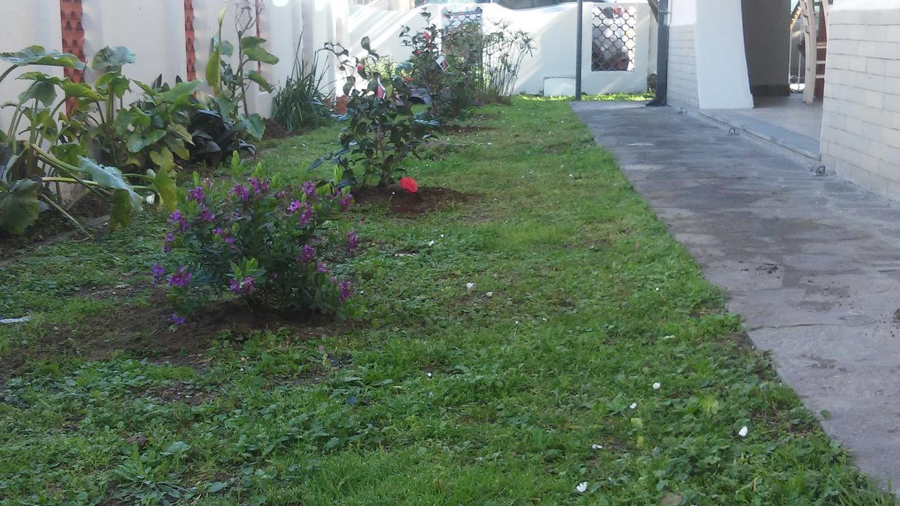 Florinda B&B Viareggio Exteriör bild