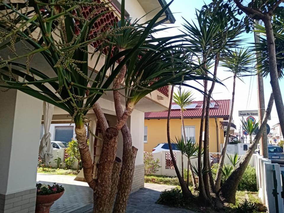 Florinda B&B Viareggio Exteriör bild