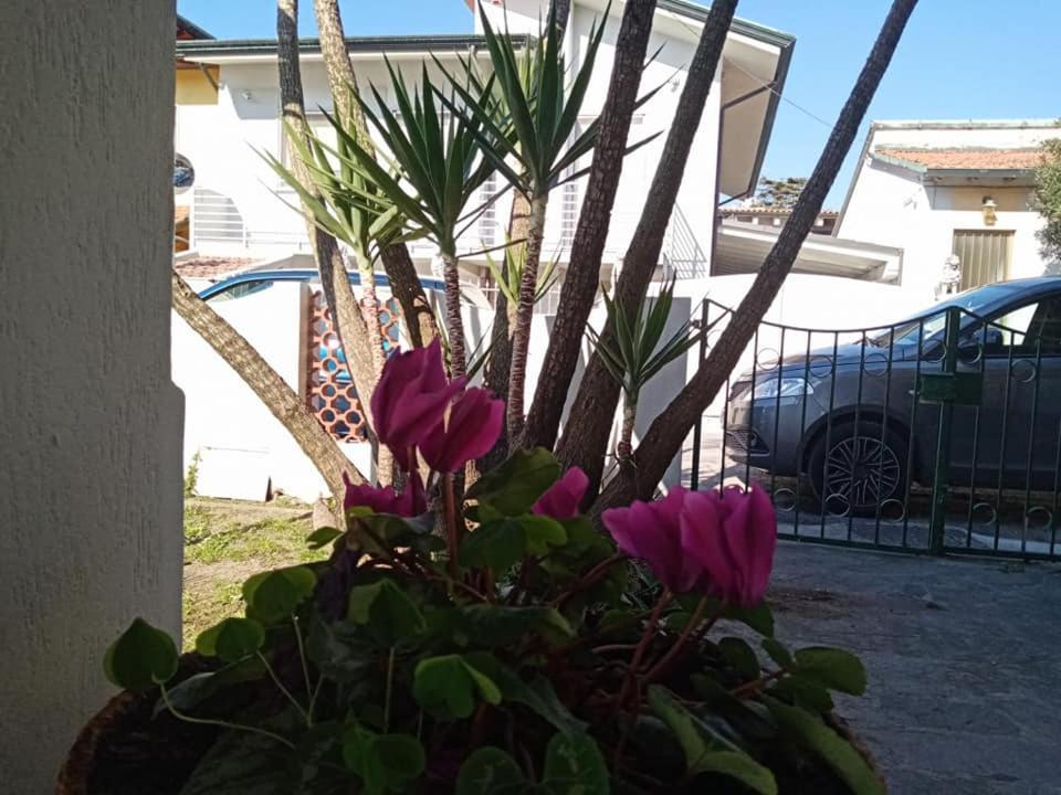 Florinda B&B Viareggio Exteriör bild