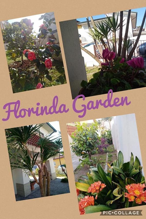 Florinda B&B Viareggio Exteriör bild